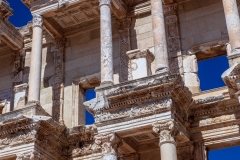 Library of C elsus