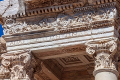 Library of C elsus
