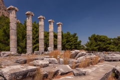 Temple of Athena
