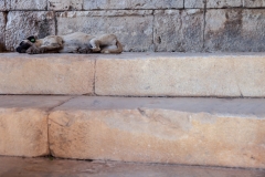 Miletus theatre