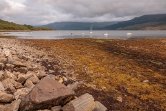 Evening, Loch Sunart