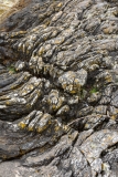 Sunart rock formations