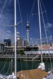 Auckland Waterfront