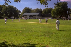 Cricket in Victoria Park