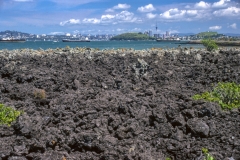 Auckland from Rangitoto