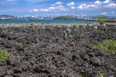Auckland from Rangitoto