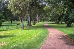 Cornwall Park