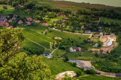 Vineyards on the shores of Lake Balaton