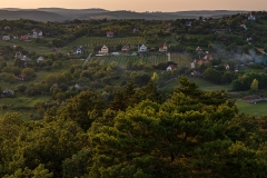 Balaton hillside