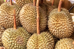 Durian Fruit