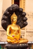Wat Traimit