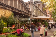 Mercat de la Concepcio