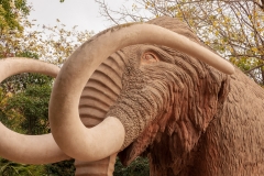 Mammoth
