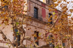 Building in the Parc de la Ciutadella