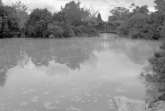 Kuirau Park, Rotorua
