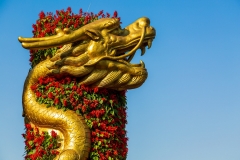 Tian Tan dragon