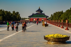 Red Step Bridge