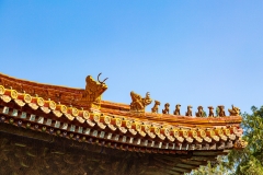 Forbidden Palace