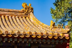 Forbidden Palace