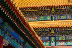 Forbidden Palace