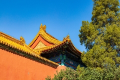 Forbidden Palace