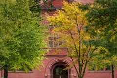 Autumn Colours, Harvard