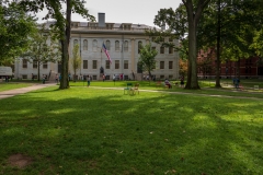 Harvard Yard