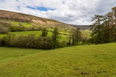 Black Mountains landscape