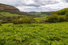 Black Mountains landscape