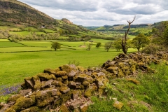 Vale of Ewyas