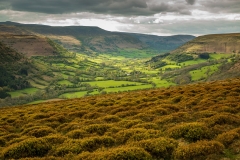 Vale of Ewyas from Hatterrall Hill