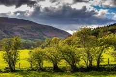 Evening light, Llanthony Priory