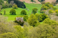 Llanthony Priory from the west