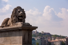 Chain Bridge Lion