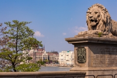 Chain Bridge Lion