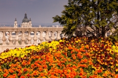 Royal Palace Terrace