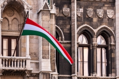 Parliament and flag
