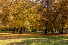 City Park