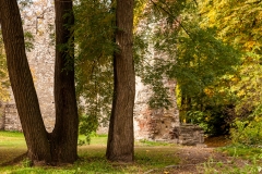 Margaret Island