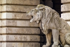 Buda Castle Lion