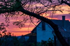 Sunset behind the houses