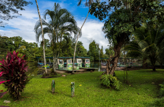 Caño Negro tour sarting point