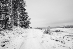 Track through a winter landscape