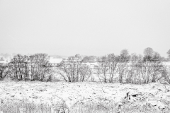 No shelter from the snow