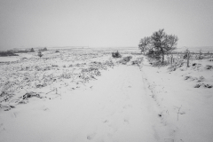 Sutherland whiteout