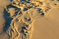 Patterns in the sand