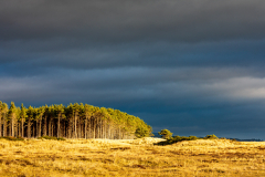 Littleferry dunes