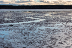 Loch Fleet