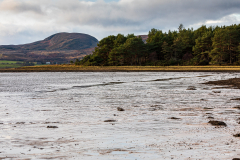 Loch Fleet