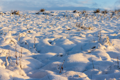 Snow-covered moorland